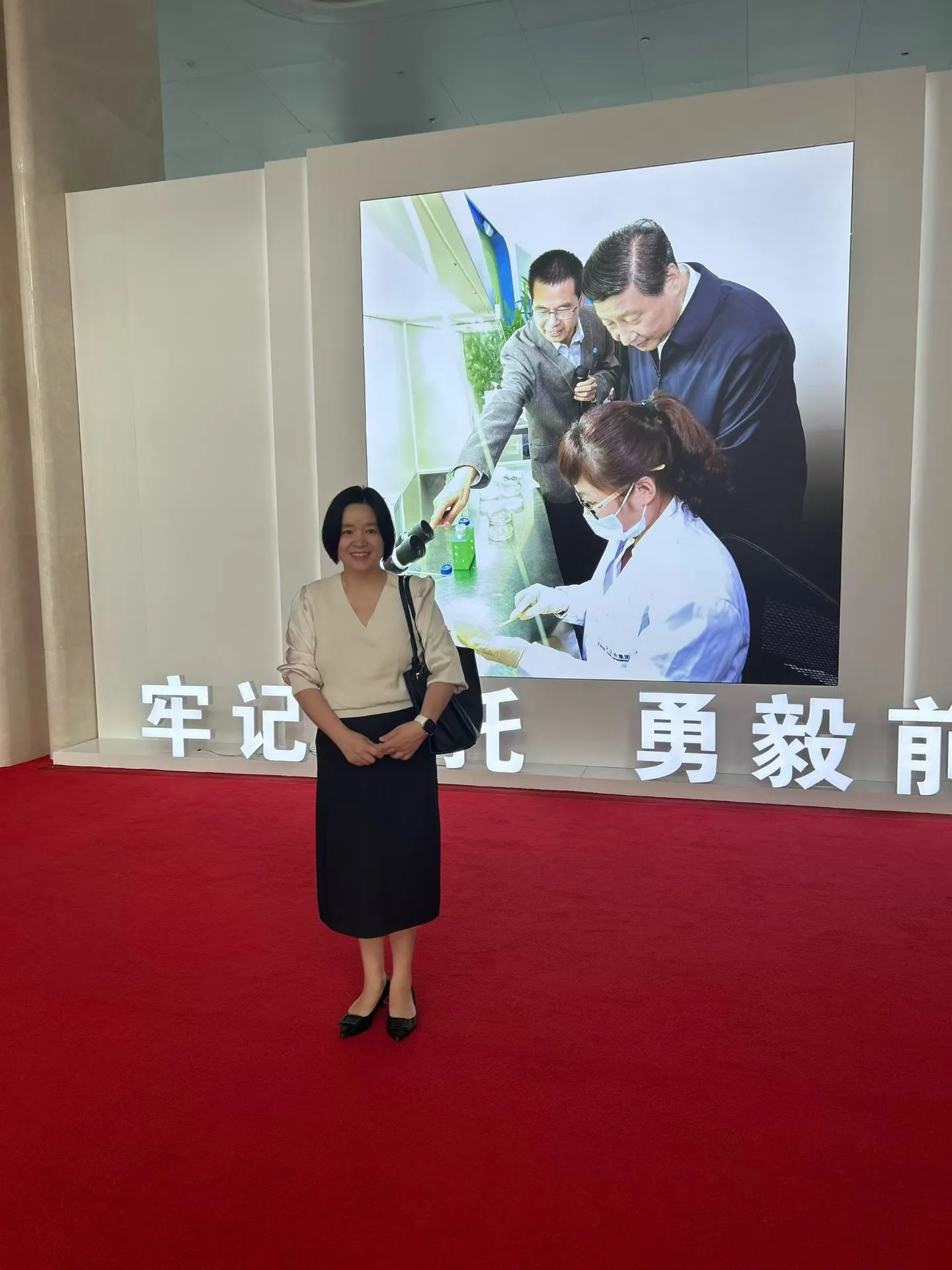 郑宇